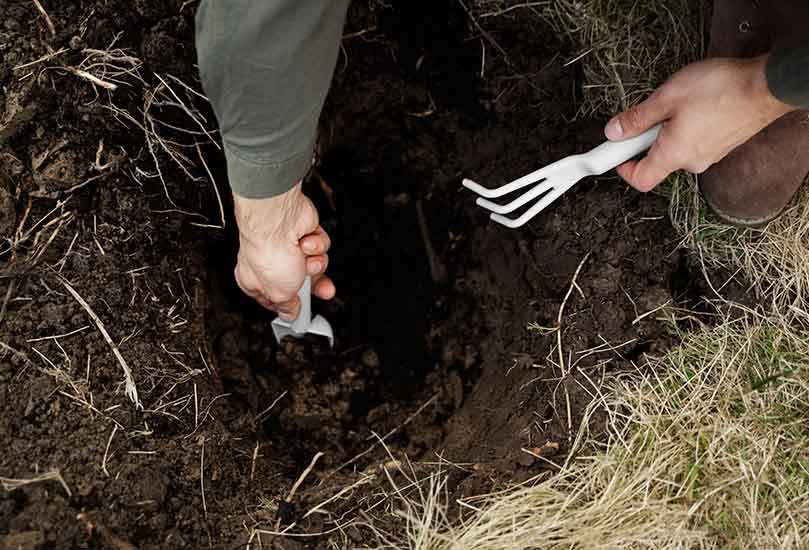 Root Cutting